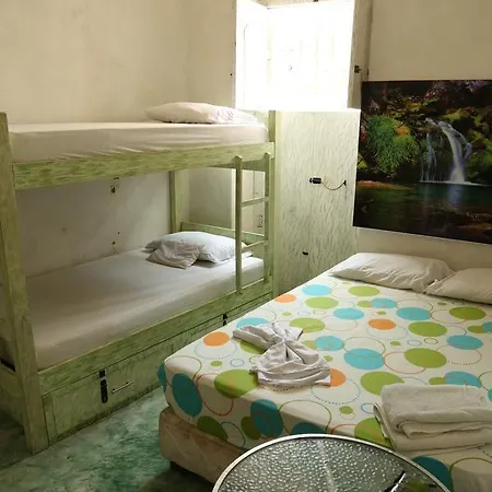 Hostel Green House Getsemani