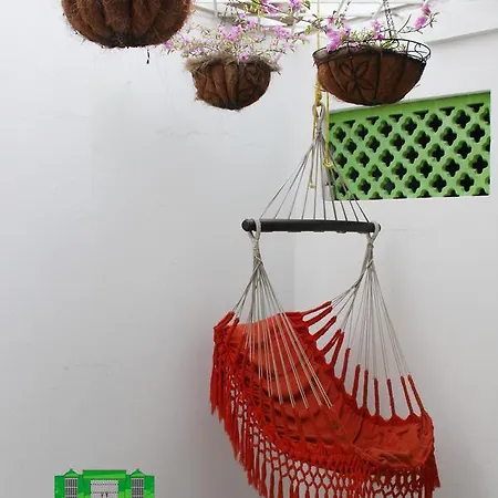 Hostel Green House Getsemani *
