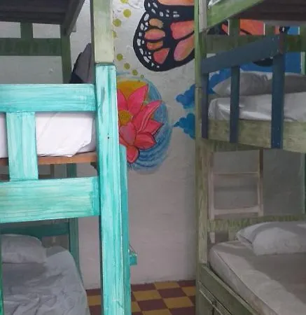 Green House Getsemani Hostel Cartagena