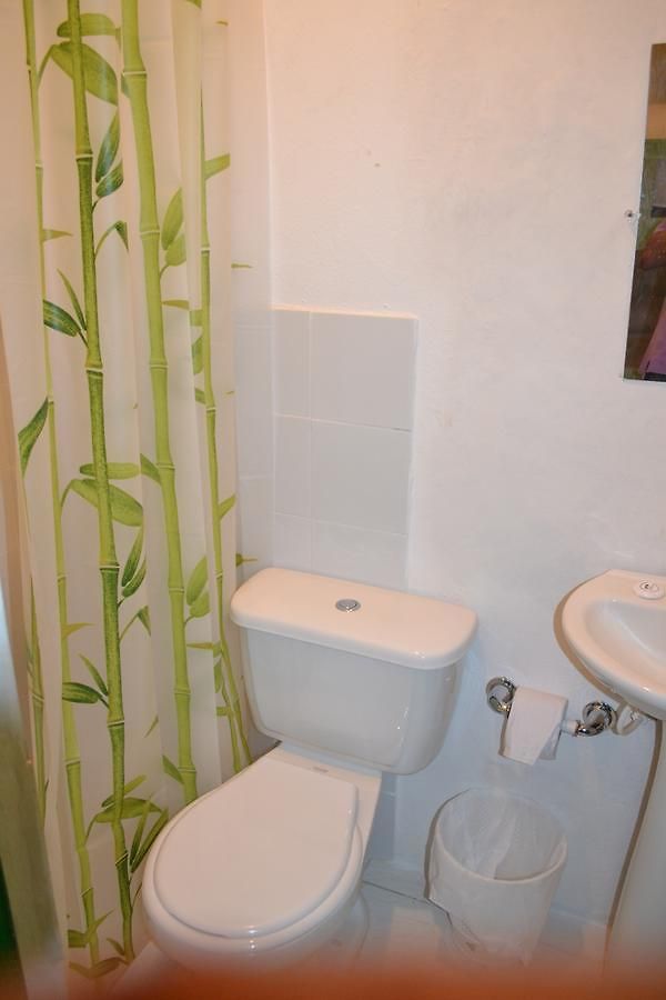 Green House Getsemani Hostal