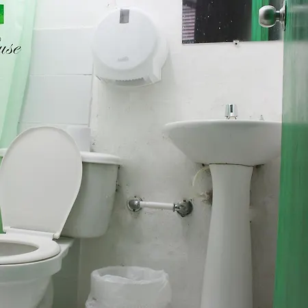 Green House Getsemani Hostal