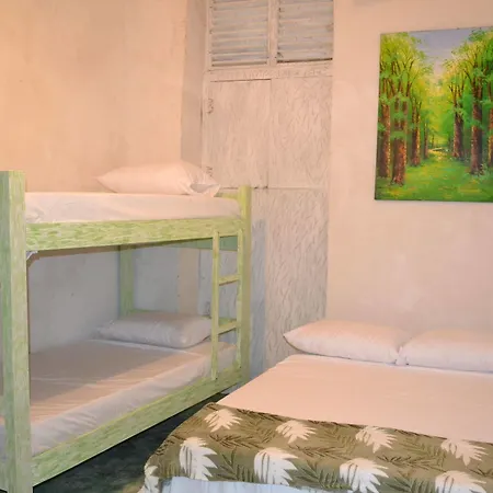 Hostel Green House Getsemani *