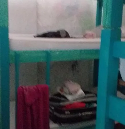 Green House Getsemani Hostal *