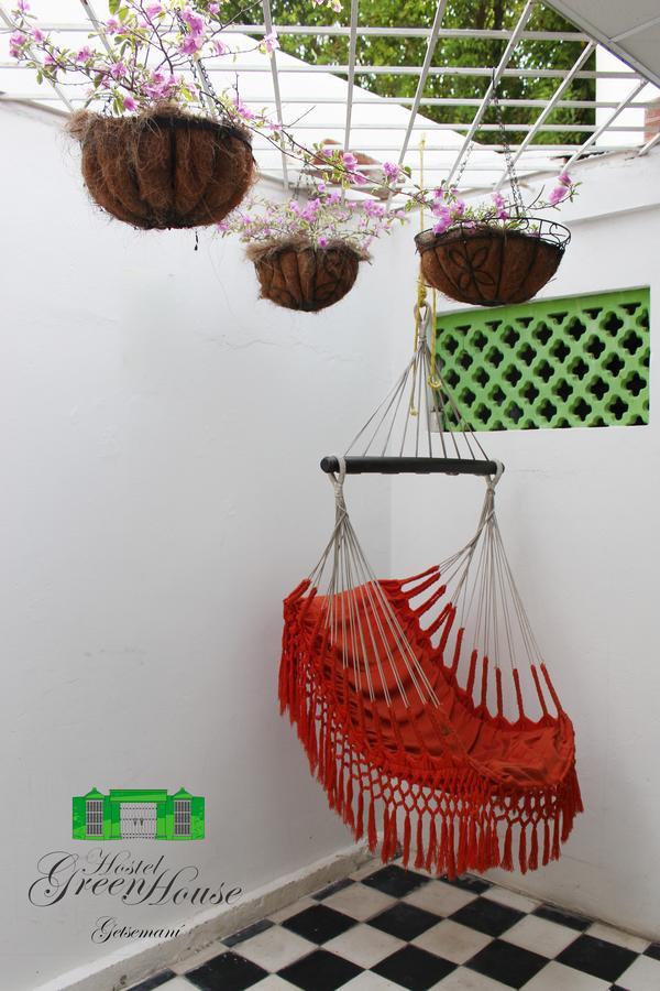 Hostal Green House Getsemani *